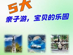 -海合安成都极地海洋公园