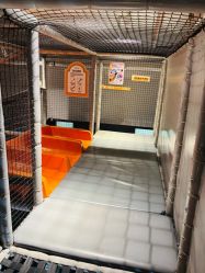 -奈尔宝·儿童乐园·亲子餐厅(星河湾店)