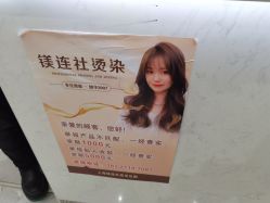 -镁连社·美联社