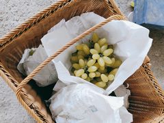 -马陆小张葡萄园农家乐