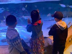 -沈阳海洋探索中心