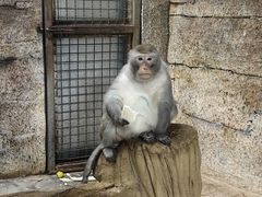 -黔灵山公园
