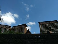 -三亚湾红树林度假世界(木棉酒店)