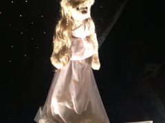 泰迪熊博物馆-济州岛泰迪熊博物馆