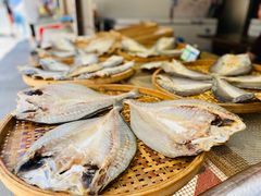 -金山嘴渔村
