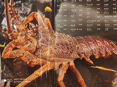 -锦粤宫·精致粤菜(深圳北站店)