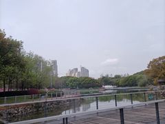 -月湖风景区