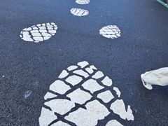 -五营红松林海景区