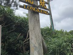 -龙坑生态保护区