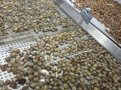 -大润发(王庄店)