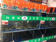 -阳澄湖大闸蟹·琼灵阁牌品牌连锁(吴中总店)