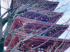 -浅草寺