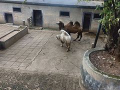-昆明动物园