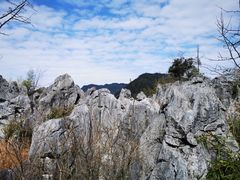 -千岛湖石林
