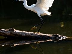 -闪电修企业手机电脑回收(西湖风景名胜区店)