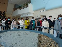 -贝林大翅鲸简餐厅(国家海洋博物馆店)