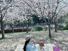 -幕燕滨江·燕子矶公园