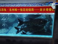 -故乡缘·香格里拉山庄(冷竹路店)