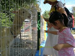 -武汉紫薇都市田园