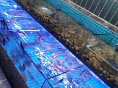 -海韵之星邮轮水会(明发商业广场店)