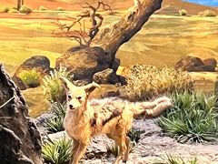 -国家自然博物馆