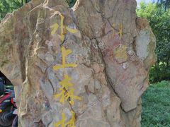 -渌洋湖湿地公园