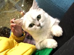 -瑞鹏宠物医院·爱宠堂·骨外专科(西荷分院)