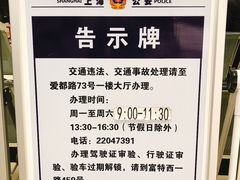 -上海外高桥汽车交易市场