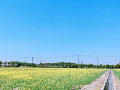 -嘉北郊野公园