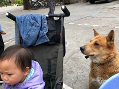 -老东风菜馆·潮汕大排档