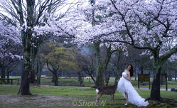 _DSC0001a-铂爵夫人婚纱摄影(上海总店)