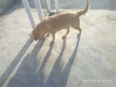 -浔岚云舍mist静谧观景美宿(丽江古城店)