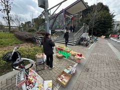 -神仙树公园
