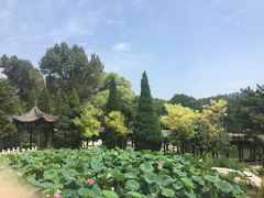 -晋祠公园