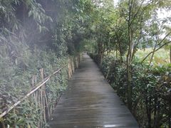 -贵阳市花溪国家城市湿地公园