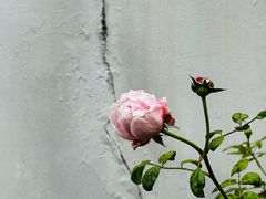 -青岛德国监狱旧址博物馆