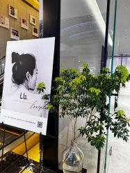 -LB·海菲秀牛奶光官方体验中心