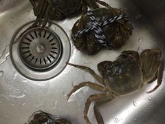 -喜洋洋蟹庄(阳澄湖店)