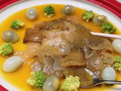 -丁老爷子苏香圆