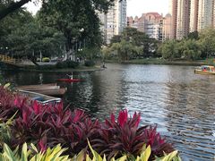 -晓港公园