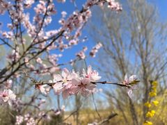 -野鸭湖国家湿地公园