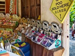 -大象粑粑造纸公园