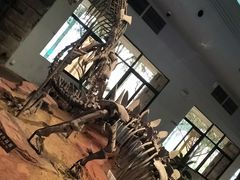 -自贡恐龙博物馆