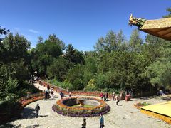 iphone_upload_pic-罗布林卡