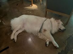 -咖法森林·咖啡  酒吧(天河店)