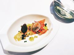 -蝶舍·MAISON PAPILLON