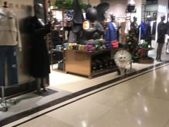 -飞洲国际广场