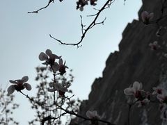 -东华门大街小区