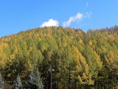 -塞罕坝国家级自然保护区