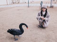 -鄱阳湖国家湿地公园